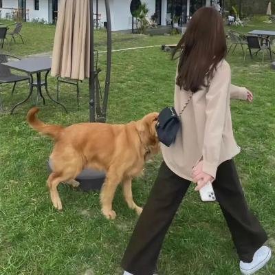 犬夜叉:红莲之蓬莱岛